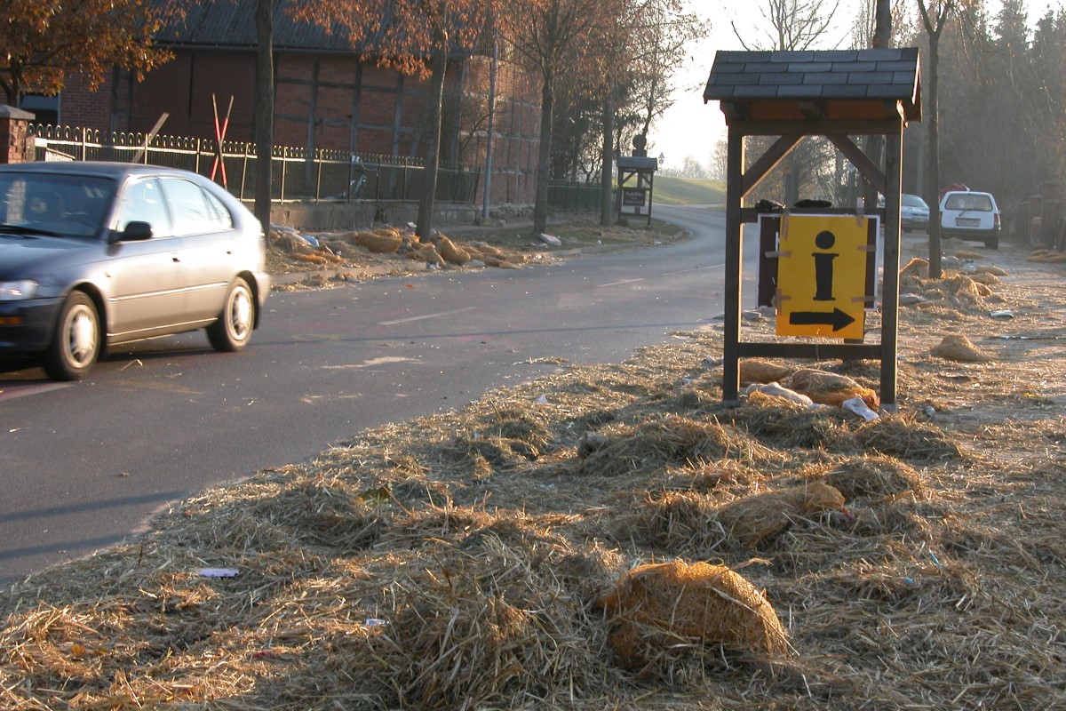 Grippel nach dem Castortransport