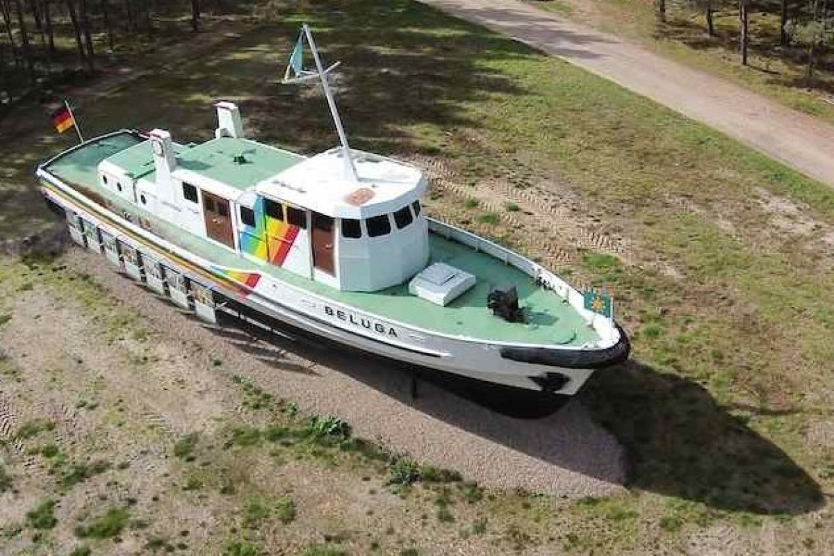 beluga2-1
